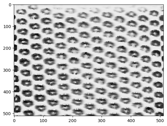 ../_images/notebooks_SPM_alignment_5_1.png