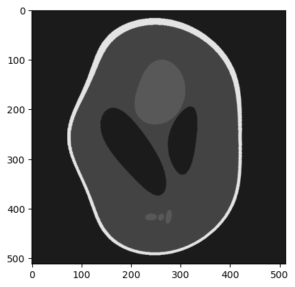../_images/notebooks_basic_DVF_warping_and_inversion_22_1.png