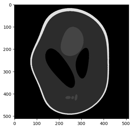 ../_images/notebooks_basic_DVF_warping_and_inversion_11_1.png