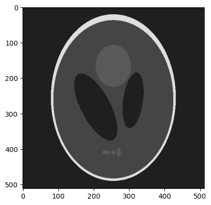 ../_images/notebooks_basic_DVF_warping_and_inversion_25_1.png